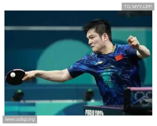 王楚钦樊振东双核并进国乒新周期备战与赛场最新动向解析